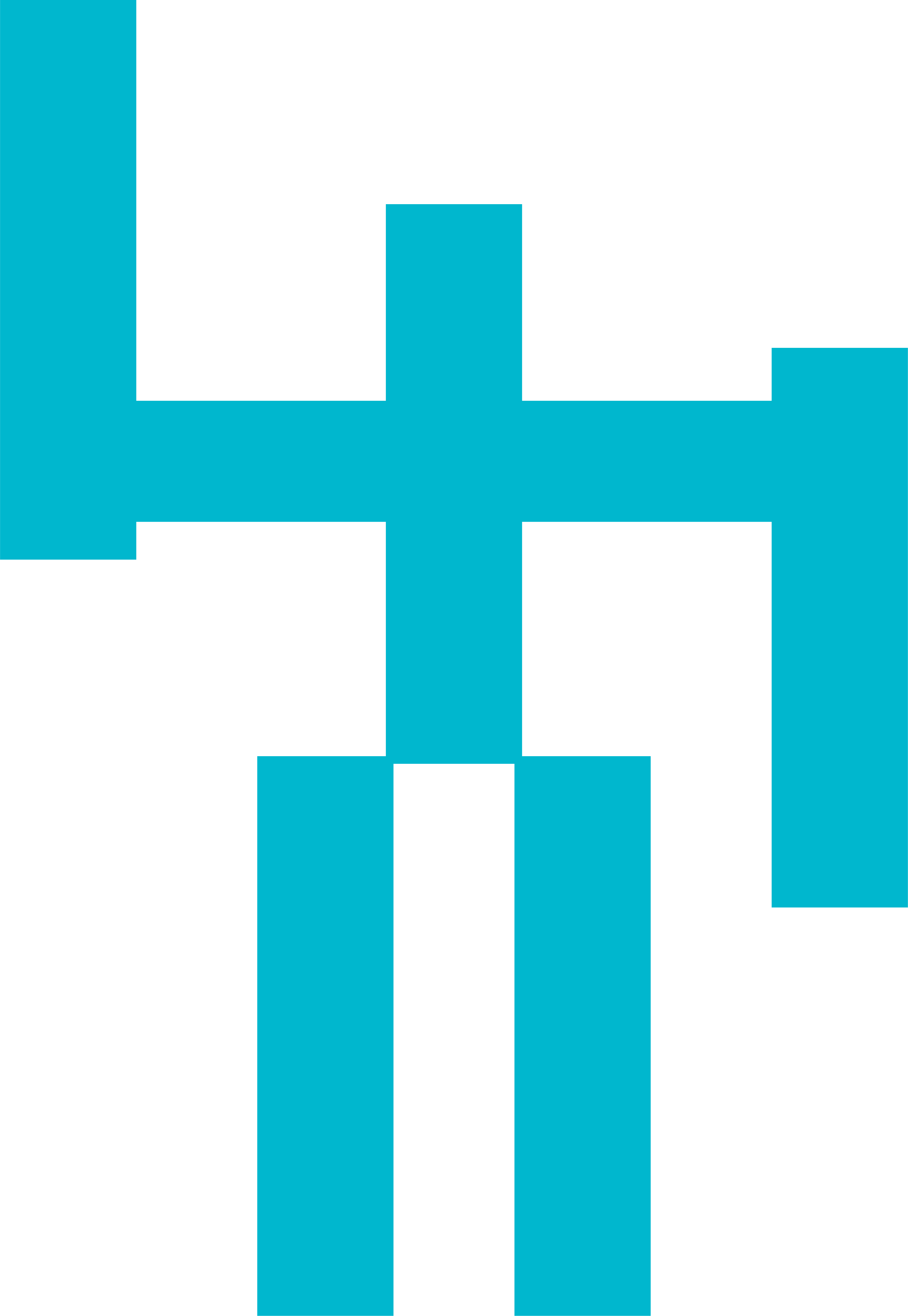 Bonacieux Logo